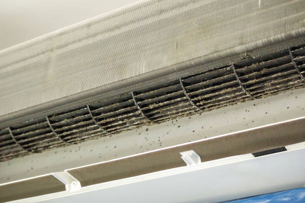 Best Air Duct Mold Removal  in Edwardsville, PA