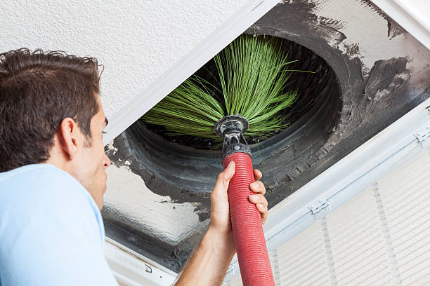 Best HVAC Maintenance and Cleaning  in Edwardsville, PA
